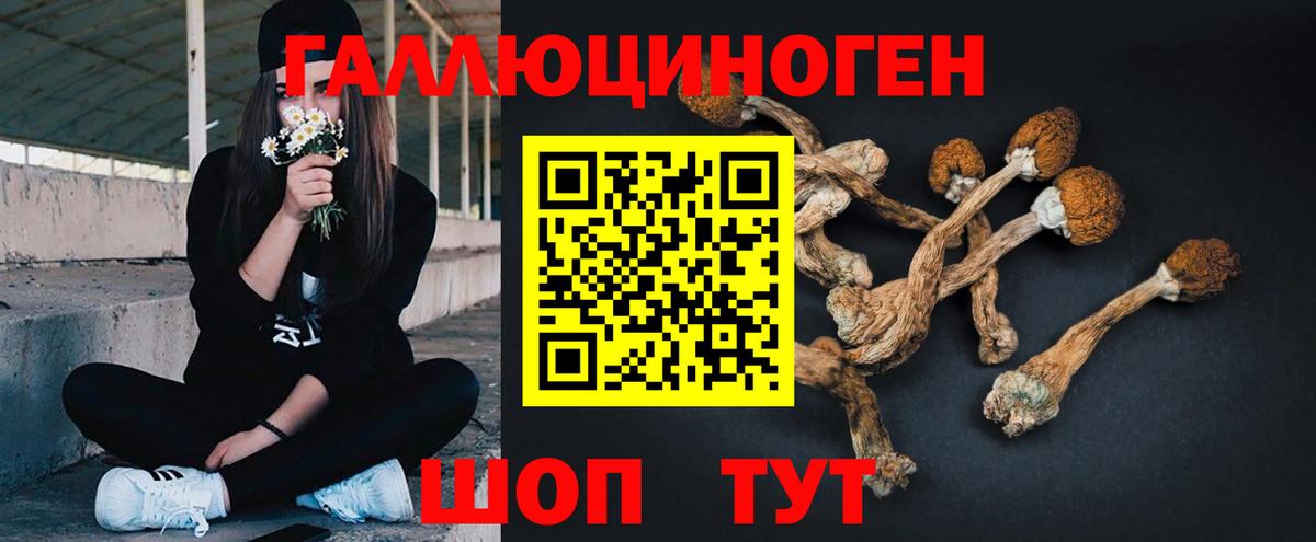Псилоцибиновые грибы Magic Shrooms  Галлюциногенные грибы мицелий  Вход с VPN  Аргун 